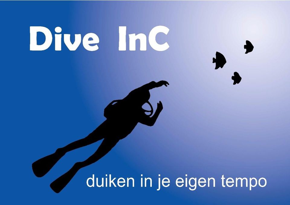 Dive InC
