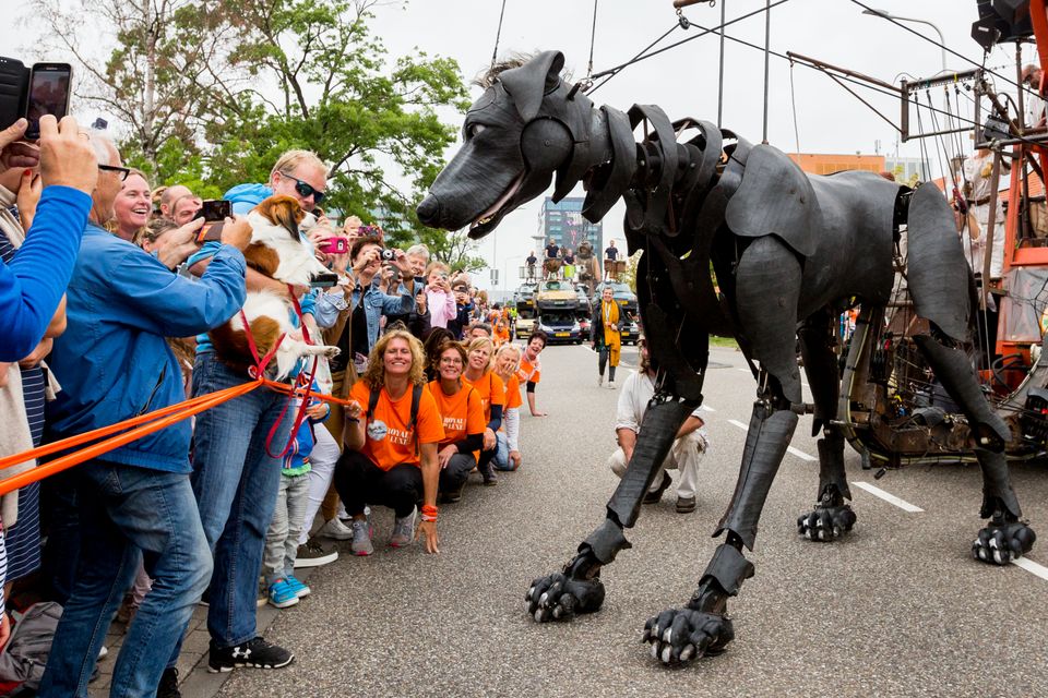 Reuzen van Royale de Luxe - Hond Xolo