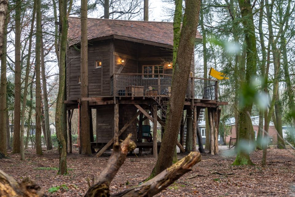 Komfortabel übernachten in der luxuriösen Baumhütte des Ferienparks Drouwenerzand!