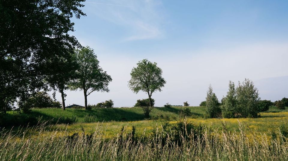 Natuurgebied met bloemrijke dijken