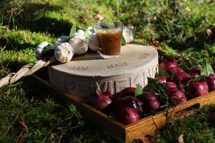 Dienblad in gras met rode uien, knoflook en kaas