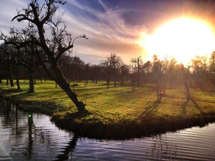 Parklandschap Brediuspark in Woerden, Groene Hart, uitzicht over een waterpartij met karakteristieke bomen, grasweide en laagstaande zon tijdens een rustige namiddag in het stadspark.
