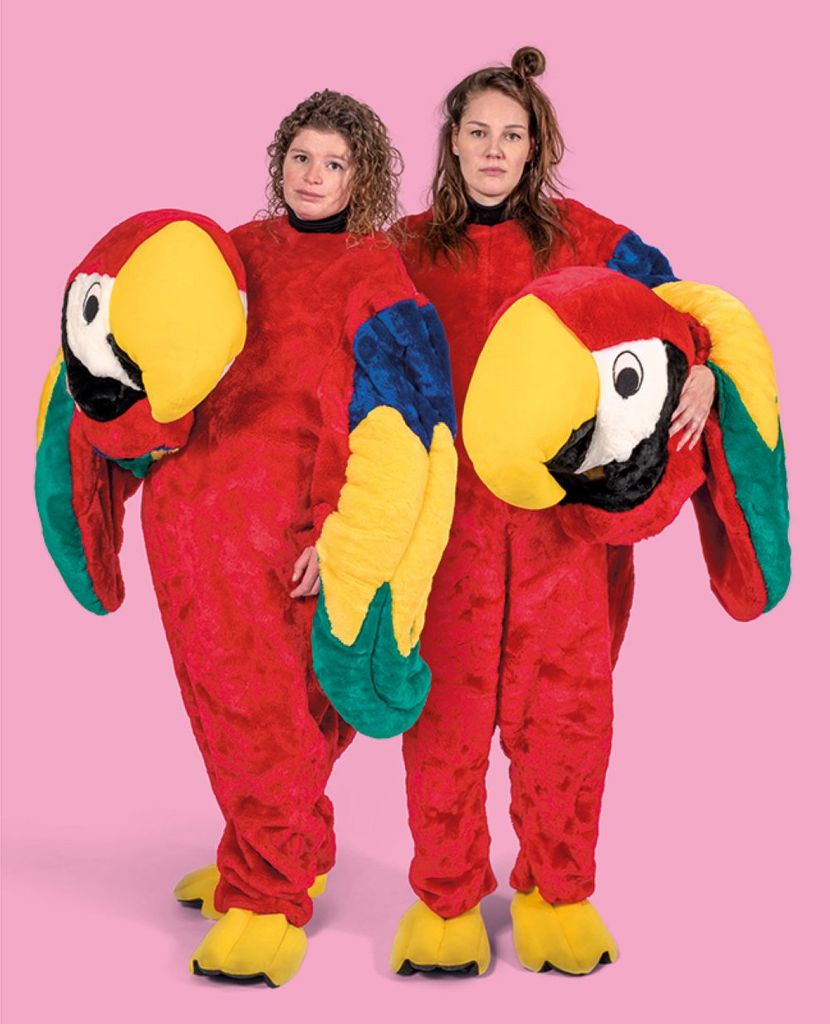 Spruijt en Opperman 'Verzingeving'