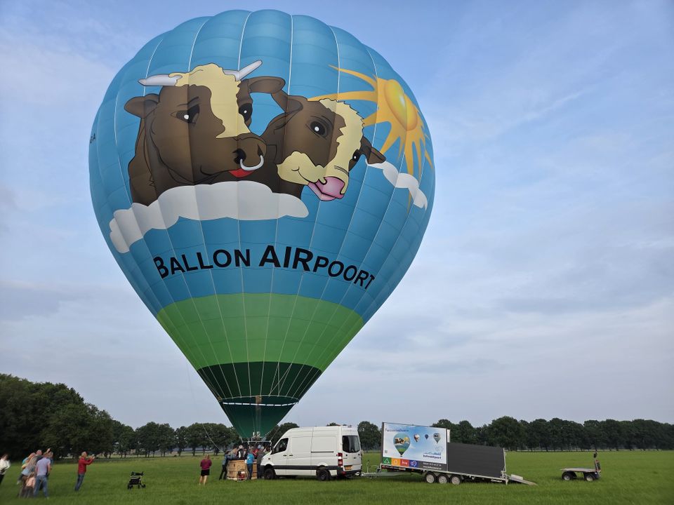 Luchtballon met afbeelding van koe staat in weiland klaar om de lucht in te gaan