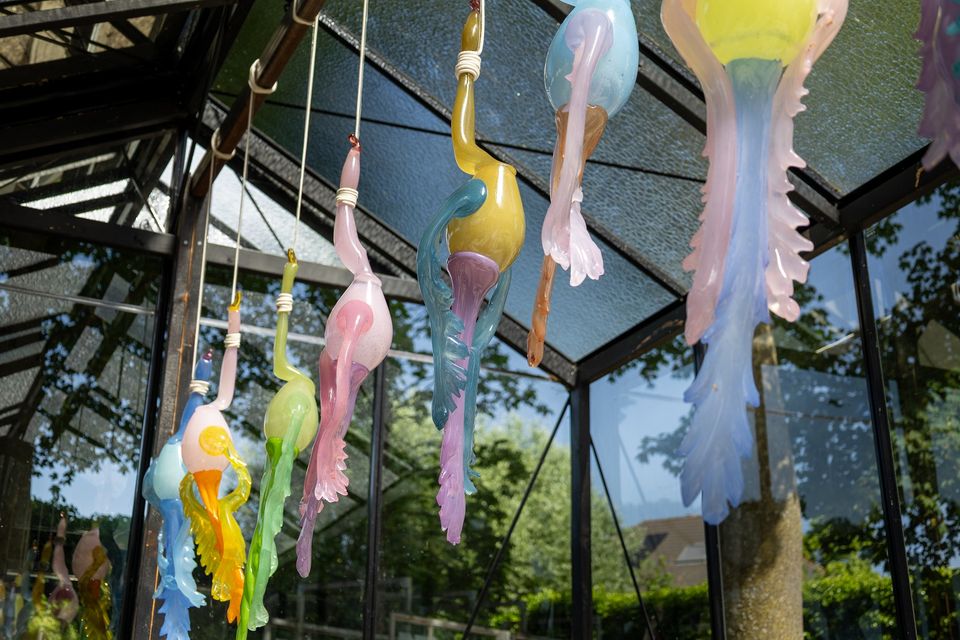 Paradijsvogels, stilleven, beweeglijkheid van vloeibaar glas stilgelegd.