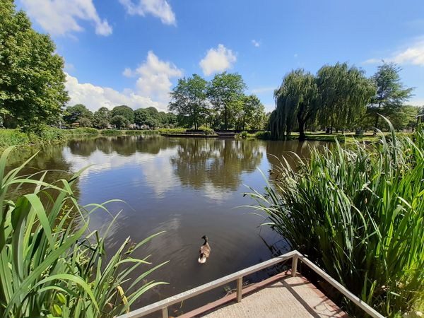 Visvijver Vlierpark Deurne