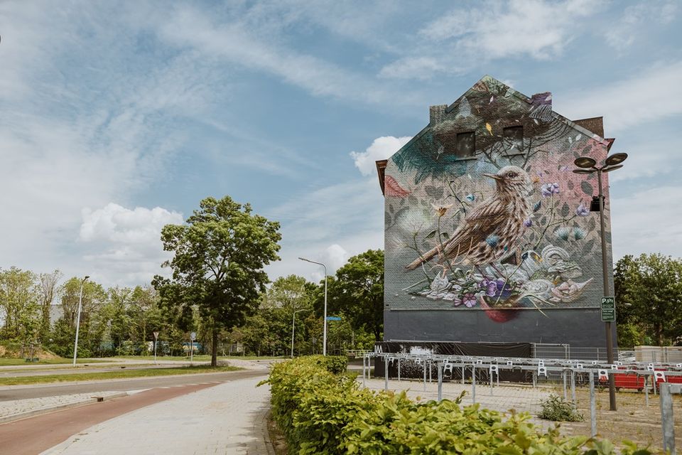 Song thrush mural Maastricht