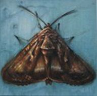 Tentoonstelling 'Verstilling'in De Weeghreyse