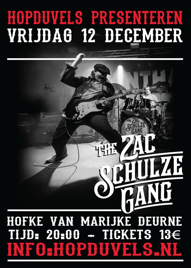 Affiche The Zac Schulze Gang