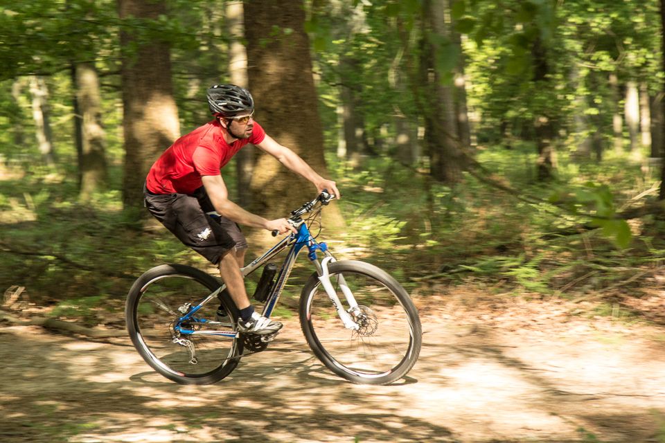 Mountainbiken VeluweActief-Arnhem