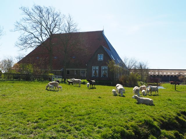 Boerderij Op Arkum