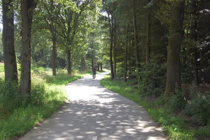 Fietspad in de Kempen