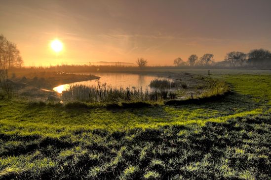 vijver-foto-jaap_3289186169.jpg