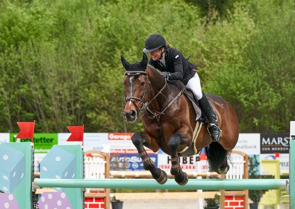 Paarden concours