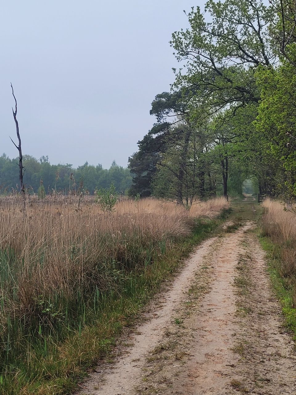 Beetsterzwaag - Ureterp | Koningspad XL: etappe 10