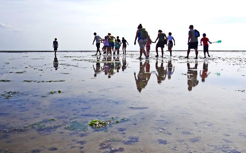 Ontwakend Wad met de Waddenvereniging
