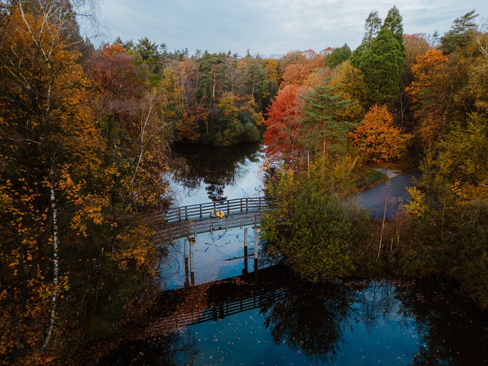 Het stadsbos vanuit de lucht.