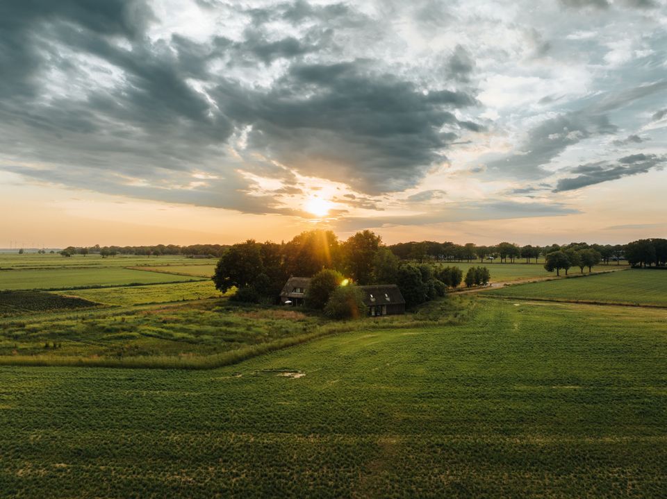 Van Gogh Drenthe Landschap Rust Ruimte Natuur