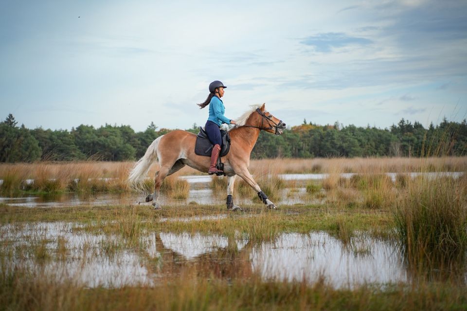 Paardrijden in de Peel