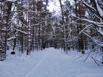 Sneeuw Berkelaarroute