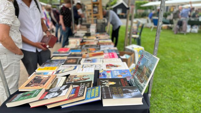 Internationale herfstboekenmarkt in Bredevoort