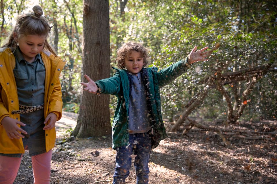 Twee kinderen staan in het bos blaadjes in de lucht te gooien.