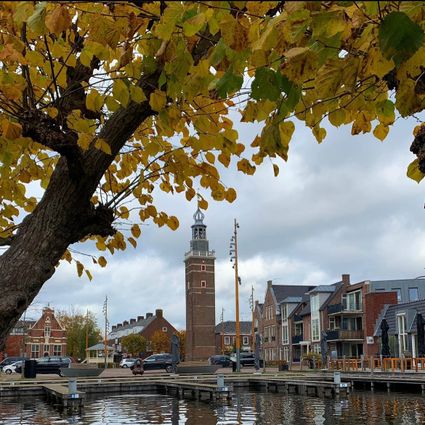 Herfstig stadsgezicht met gele bladeren aan een boom op de voorgrond, een gracht met kade en een historische bakstenen toren in het centrum, omringd door woonhuizen onder een bewolkte lucht.