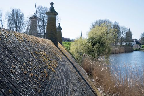 Derde plaats (gedeeld) fotospotverkiezing 2022