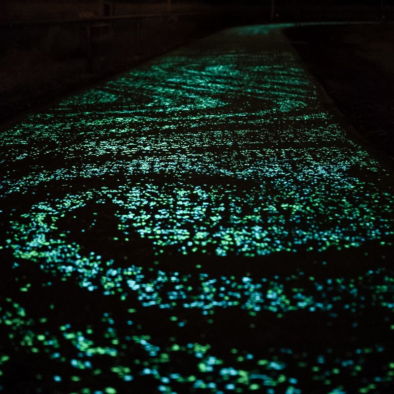 Fietspad Van Gogh Roosegaarde