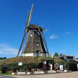 Molen de Duif