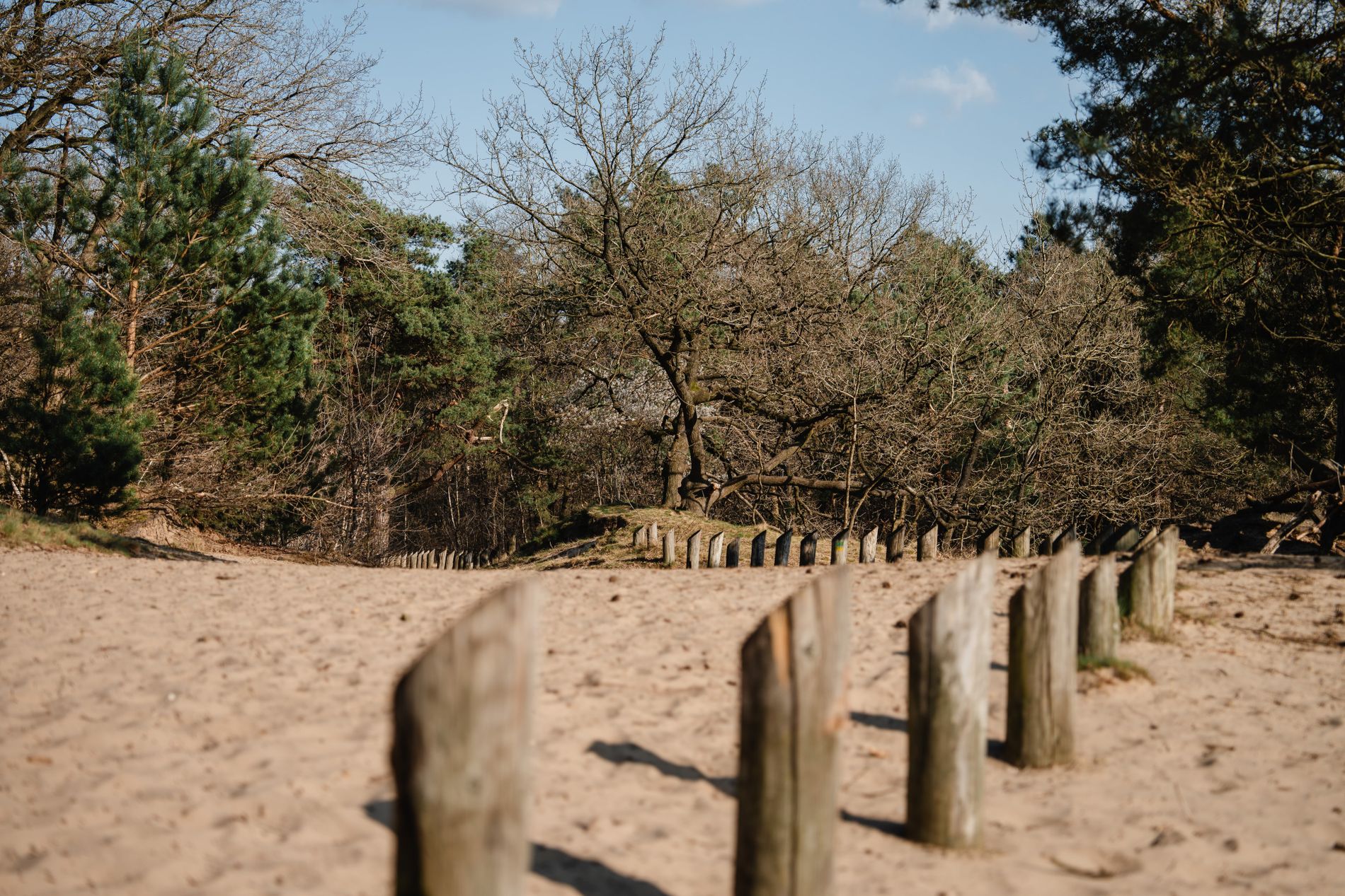 Vrachelse Heide