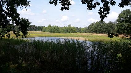 vennetje