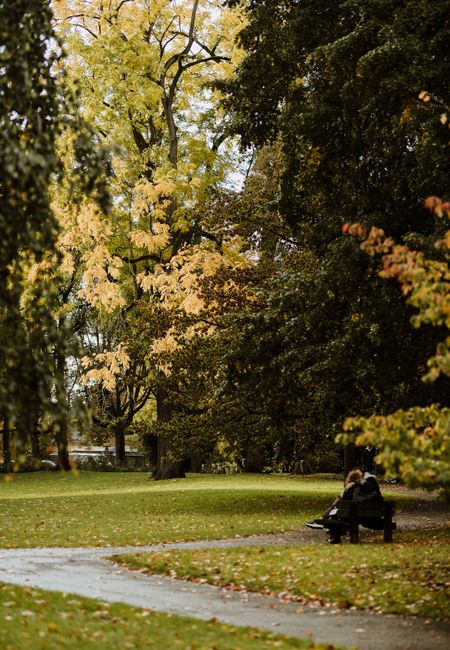 Menschen auf einer Bank im Stadspark (Stadtpark) Maastricht