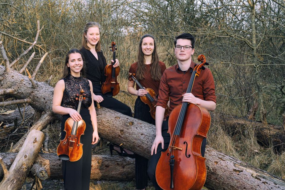 Het Viride Kwartet