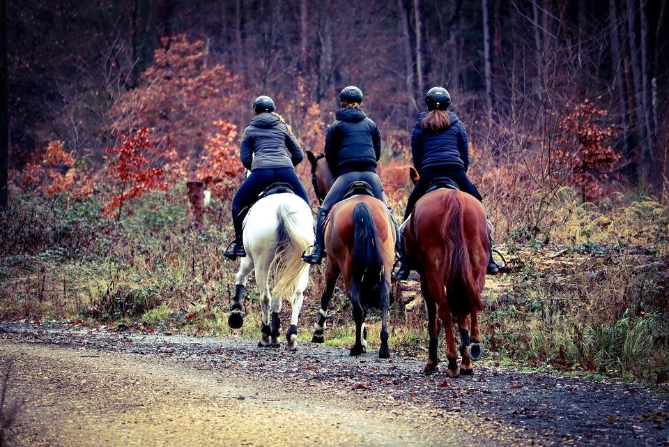 3 vrouwen op een paard rijden in de bossen.
