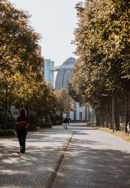 Charles Eyck park walking and cycling path bonnefanten