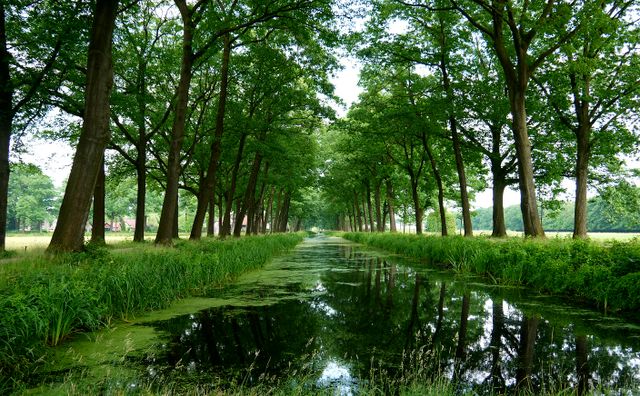 Rondleiding Griendtsveen, kanaal