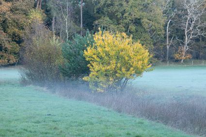 Ooster- en Westerzand © Karla Leeftink-Het Drentse Landschap
