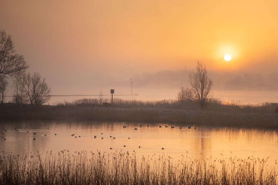 Zonsondergang natuurgebied in De Utrechtse Waarden, met water, mist, eenden en wat kale begroeiing in de winter.