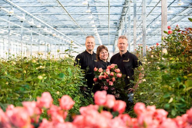 𝗩𝗮𝗻 𝗱𝗲𝗿 𝗛𝘂𝗹𝘀𝘁 𝗥𝗼𝘇𝗲𝗻𝗸𝘄𝗲𝗸𝗲𝗿𝗶𝗷𝗲𝗻