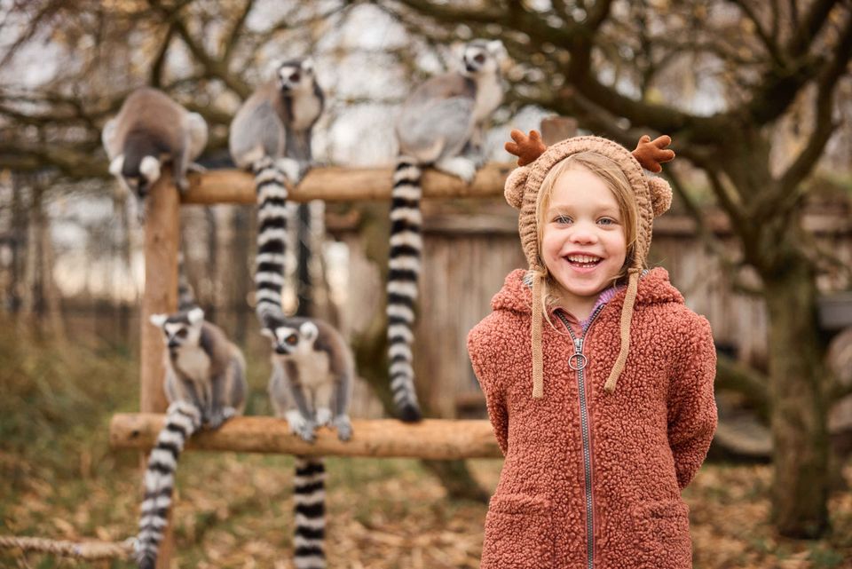 Meisje samen met ringstaartmaki's in de winter in AquaZoo