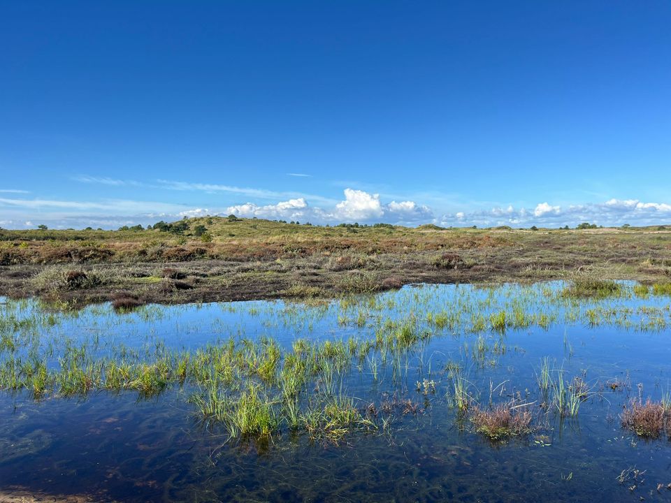 Vlieland