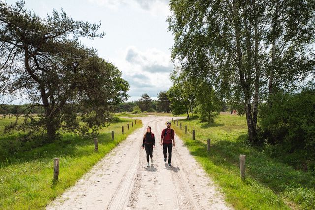 Vrouw en man wandelen Dwingelderveld