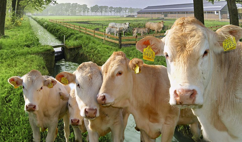 Boerderijdag Streeckhuys Deurne
