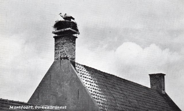 Zwart-wit beeld van historisch ooievaarsnest op schoorsteen aan de Hoogstraat 6 in Montfoort, Groene Hart