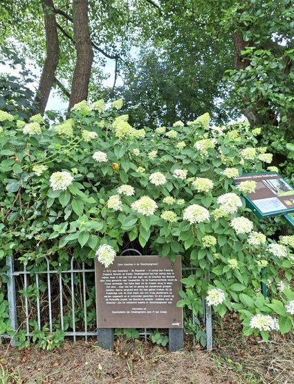 Bisschopsgraven