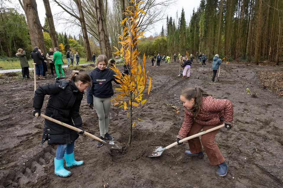 Kinderen planten een boom in een voedselbos