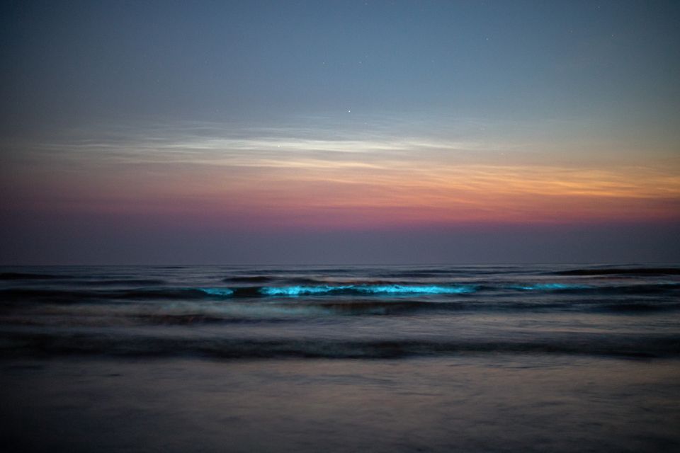 Photo with Sea Sparkle