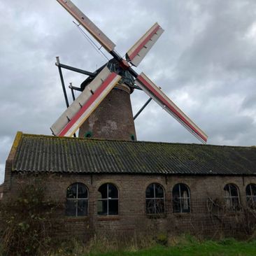 foto: Jos Nieuwlaat