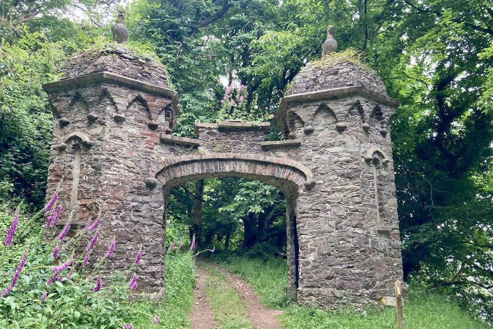 oude port in het bos